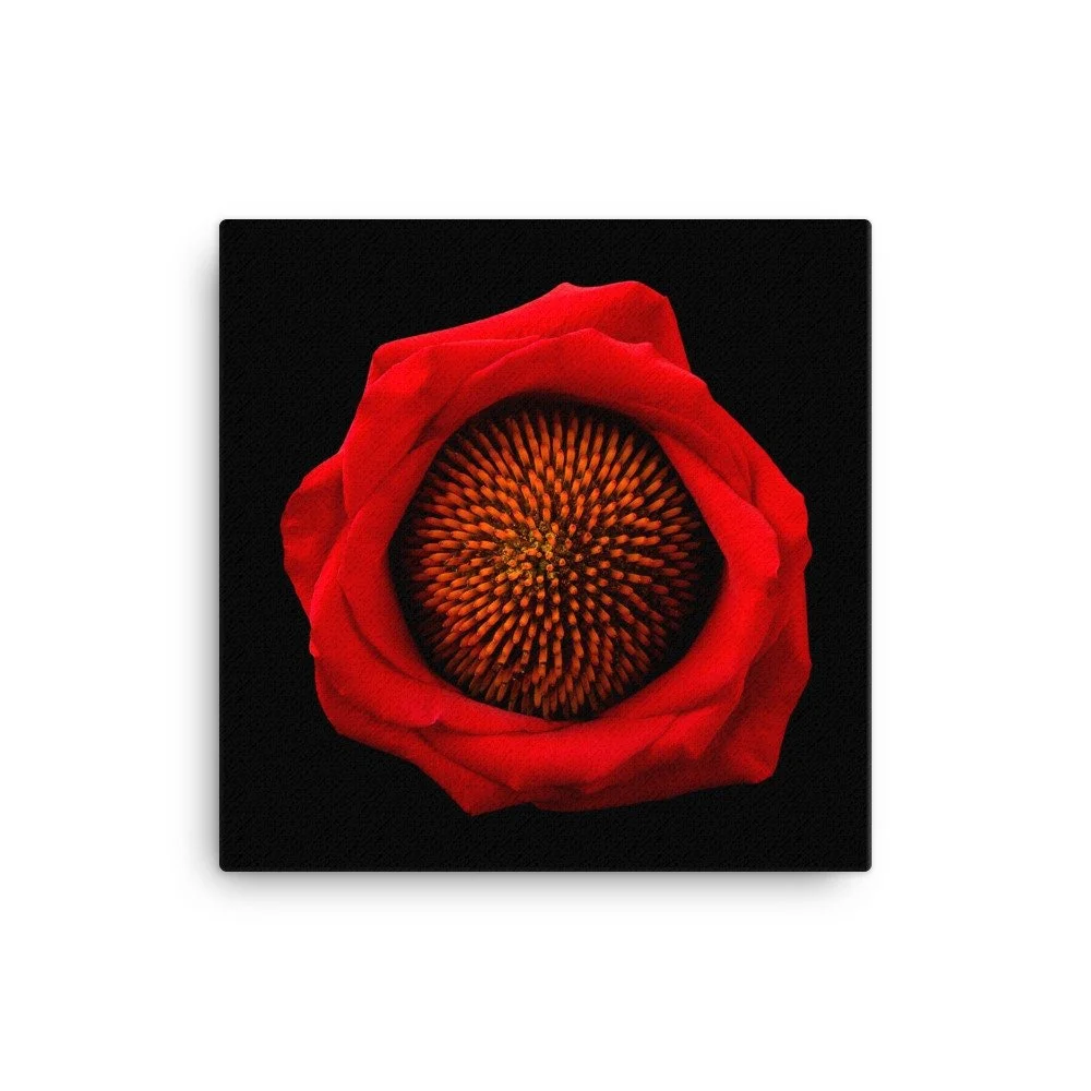 https://i.etsystatic.com/16519884/r/il/56f538/2185311919/il_fullxfull.2185311919_1x1n.jpg