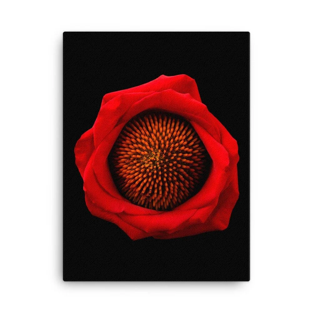 https://i.etsystatic.com/16519884/r/il/7f78da/2185311895/il_fullxfull.2185311895_cu39.jpg