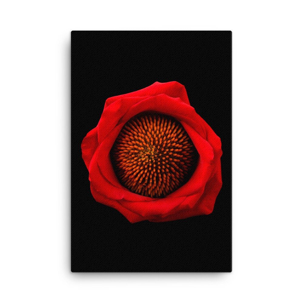 https://i.etsystatic.com/16519884/r/il/04ee26/2137759958/il_fullxfull.2137759958_i2xl.jpg