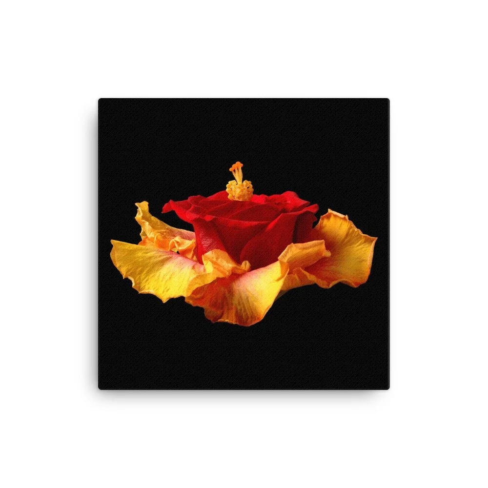 https://i.etsystatic.com/16519884/r/il/99d45d/2184647007/il_fullxfull.2184647007_27q8.jpg