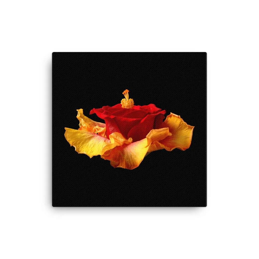 https://i.etsystatic.com/16519884/r/il/470995/2184646955/il_fullxfull.2184646955_8cec.jpg