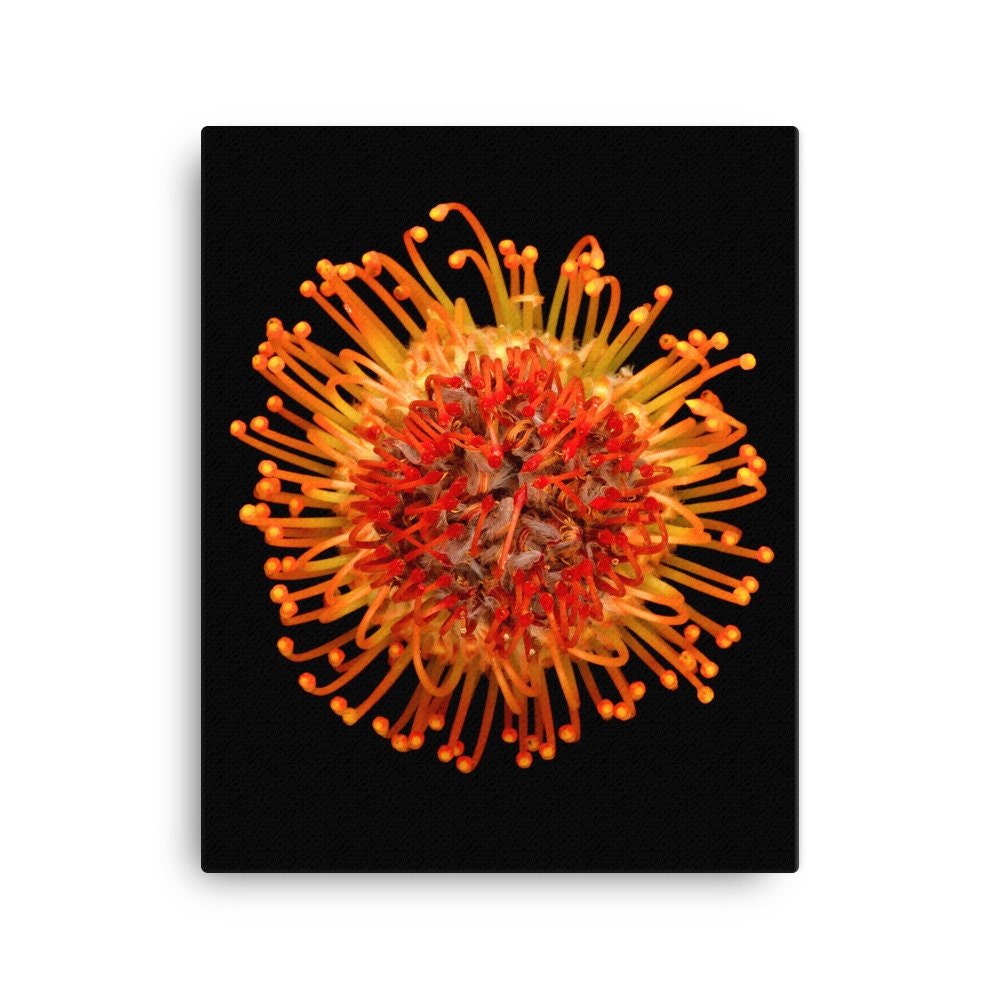 https://i.etsystatic.com/16519884/r/il/60445e/2184994767/il_fullxfull.2184994767_edhp.jpg
