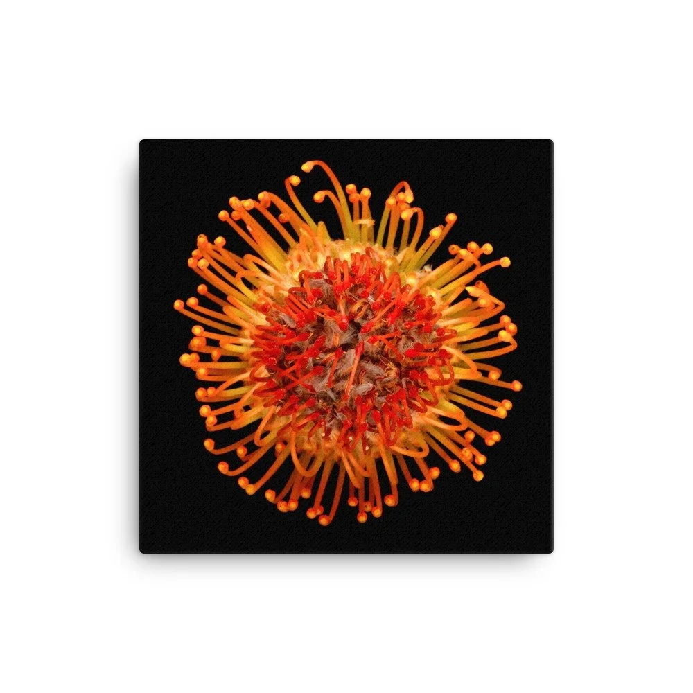https://i.etsystatic.com/16519884/r/il/267bbb/2137443382/il_fullxfull.2137443382_ku8b.jpg
