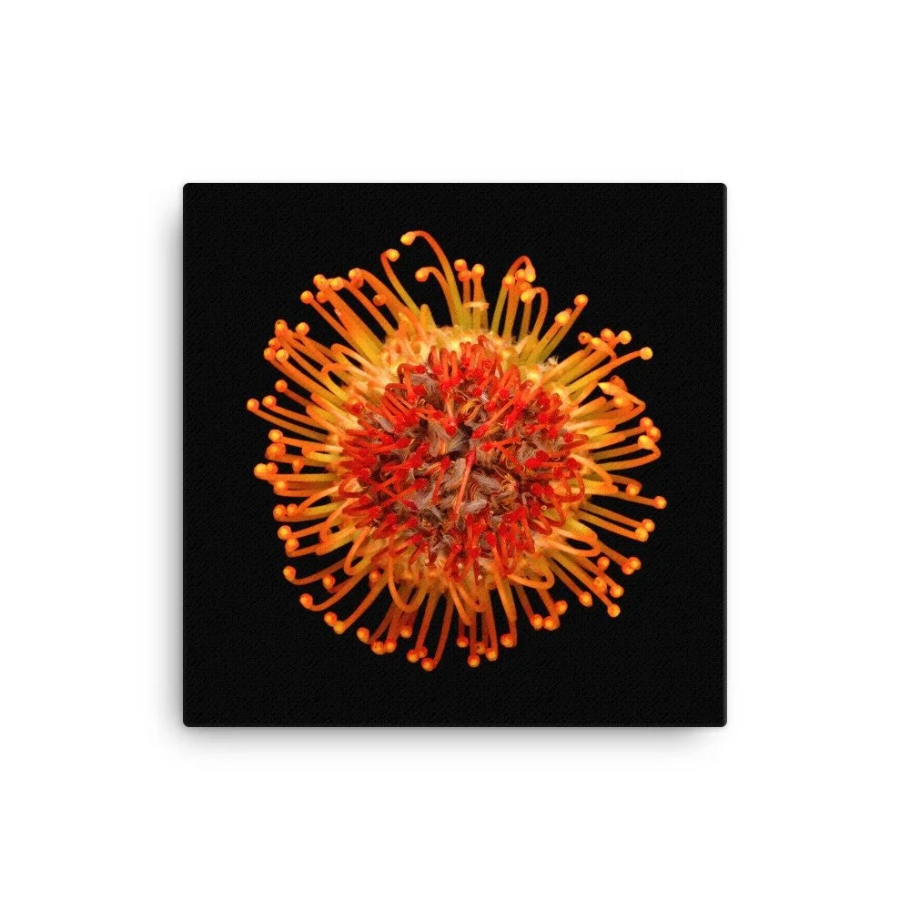 https://i.etsystatic.com/16519884/r/il/9685fd/2137443310/il_fullxfull.2137443310_maaq.jpg