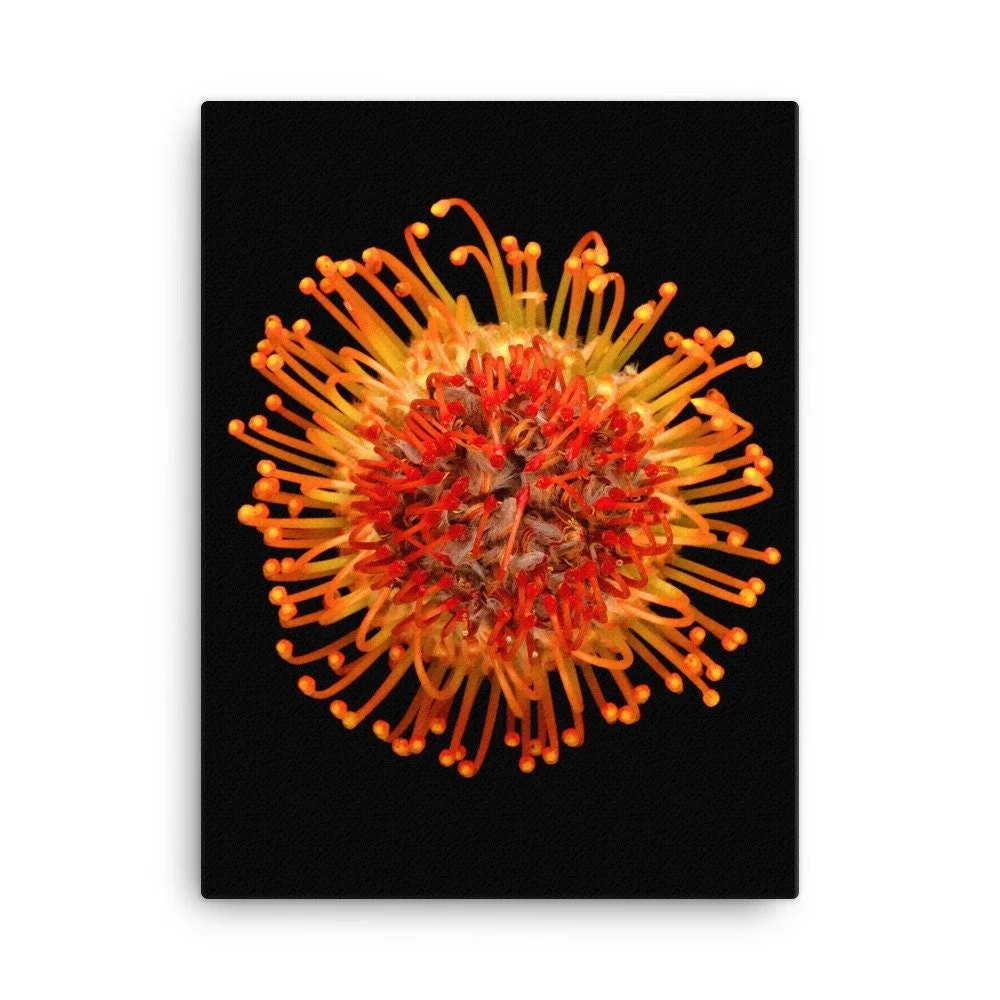 https://i.etsystatic.com/16519884/r/il/e41aeb/2137443274/il_fullxfull.2137443274_f0p3.jpg