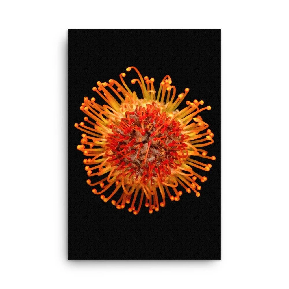 https://i.etsystatic.com/16519884/r/il/39b64b/2184994611/il_fullxfull.2184994611_hx67.jpg