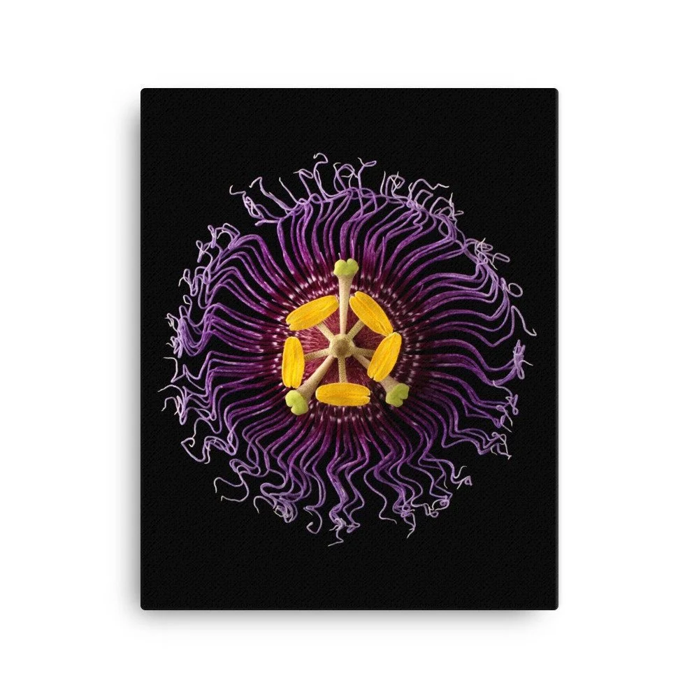 https://i.etsystatic.com/16519884/r/il/7c3716/2137476272/il_fullxfull.2137476272_qnq7.jpg