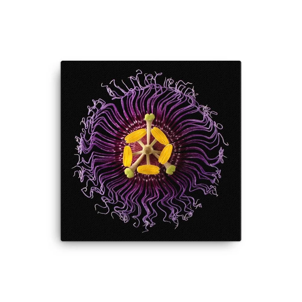https://i.etsystatic.com/16519884/r/il/6cda86/2137476228/il_fullxfull.2137476228_rgaw.jpg
