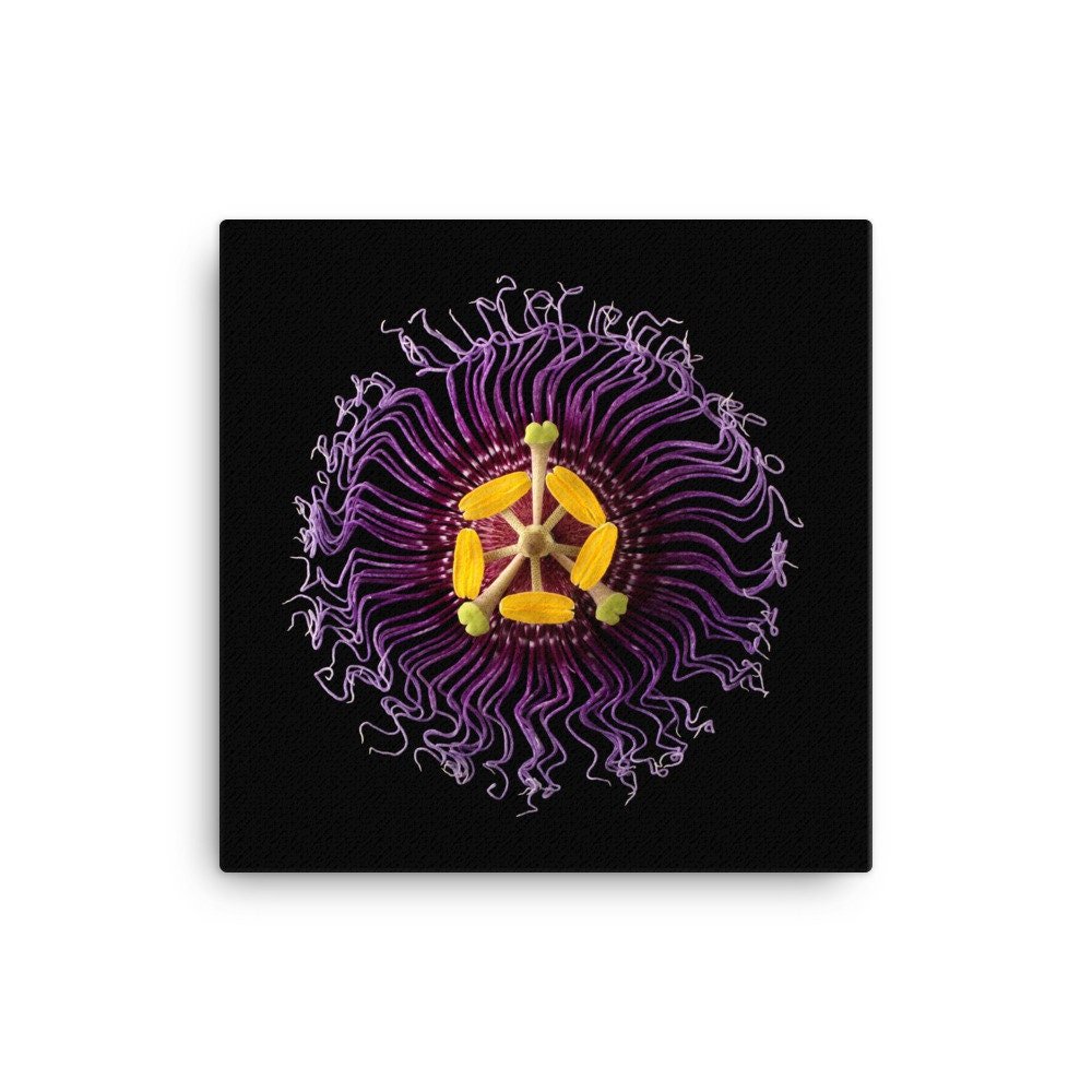https://i.etsystatic.com/16519884/r/il/0e5c82/2185027359/il_fullxfull.2185027359_hkgg.jpg