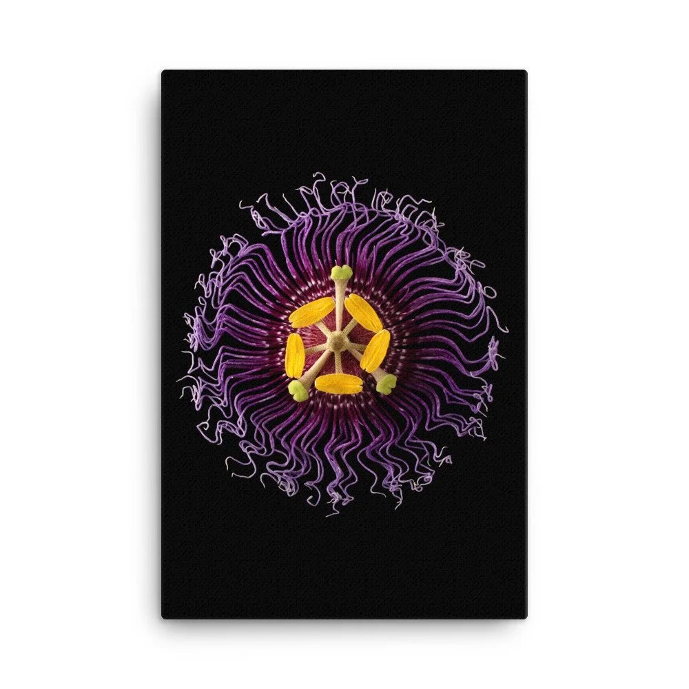 https://i.etsystatic.com/16519884/r/il/416bd0/2137476092/il_fullxfull.2137476092_77ql.jpg