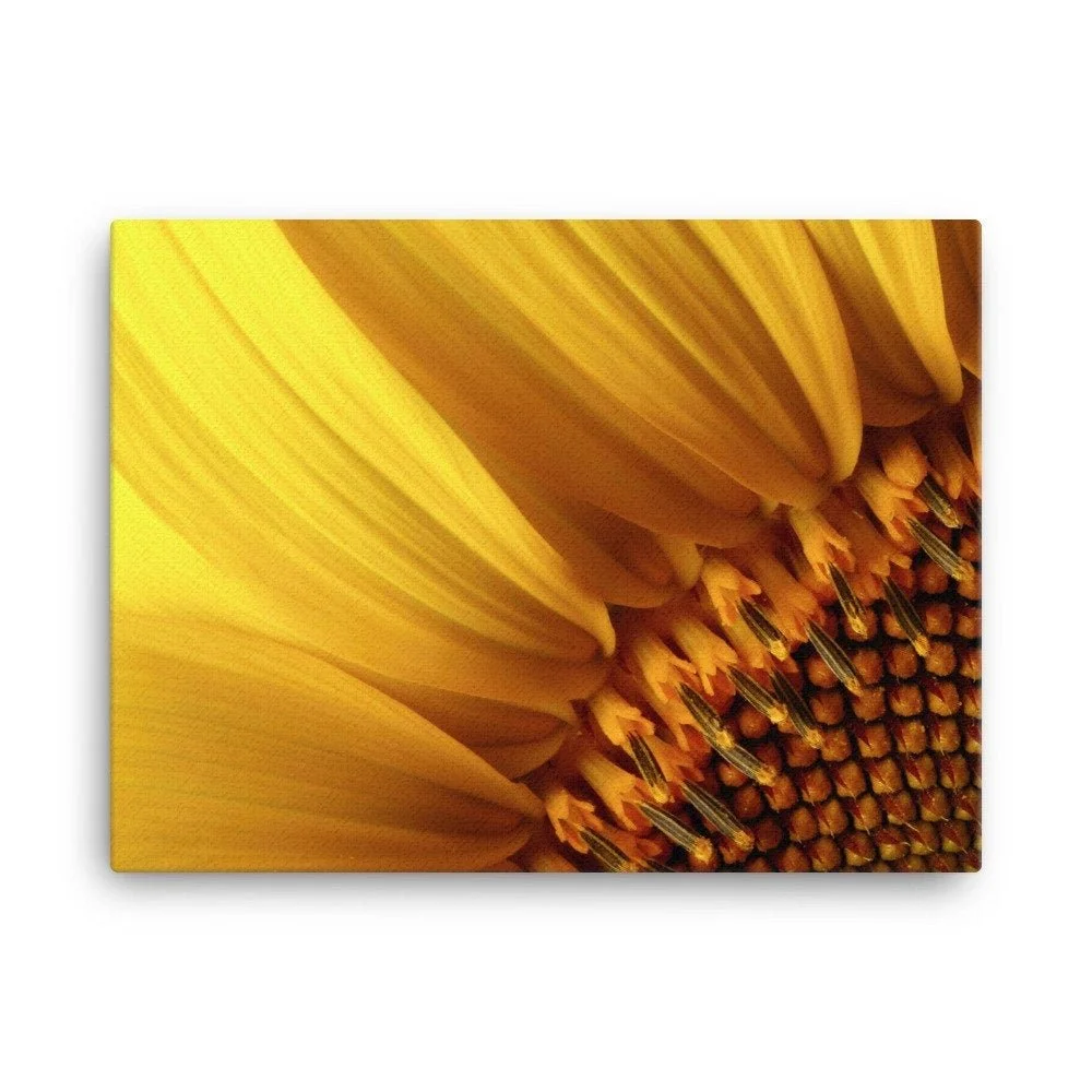 https://i.etsystatic.com/16519884/r/il/9c0cf3/2186582459/il_fullxfull.2186582459_j0na.jpg