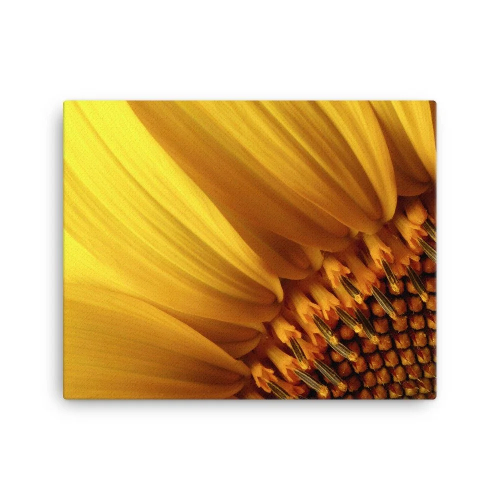 https://i.etsystatic.com/16519884/r/il/855b9b/2139031778/il_fullxfull.2139031778_hg4i.jpg