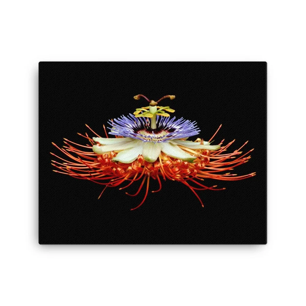 https://i.etsystatic.com/16519884/r/il/8b44b7/2137099936/il_fullxfull.2137099936_iock.jpg