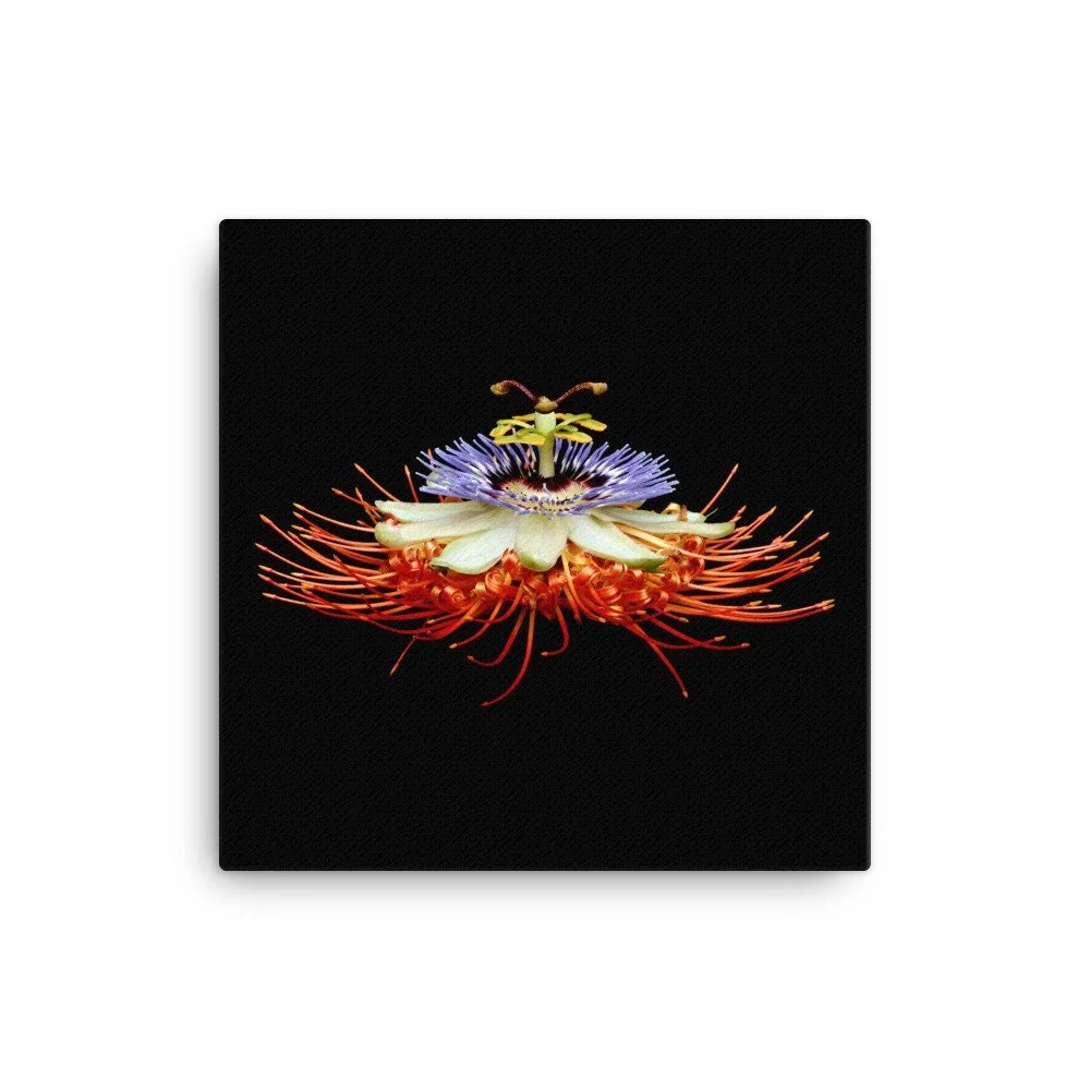 https://i.etsystatic.com/16519884/r/il/fa7d30/2137099560/il_fullxfull.2137099560_ciq3.jpg