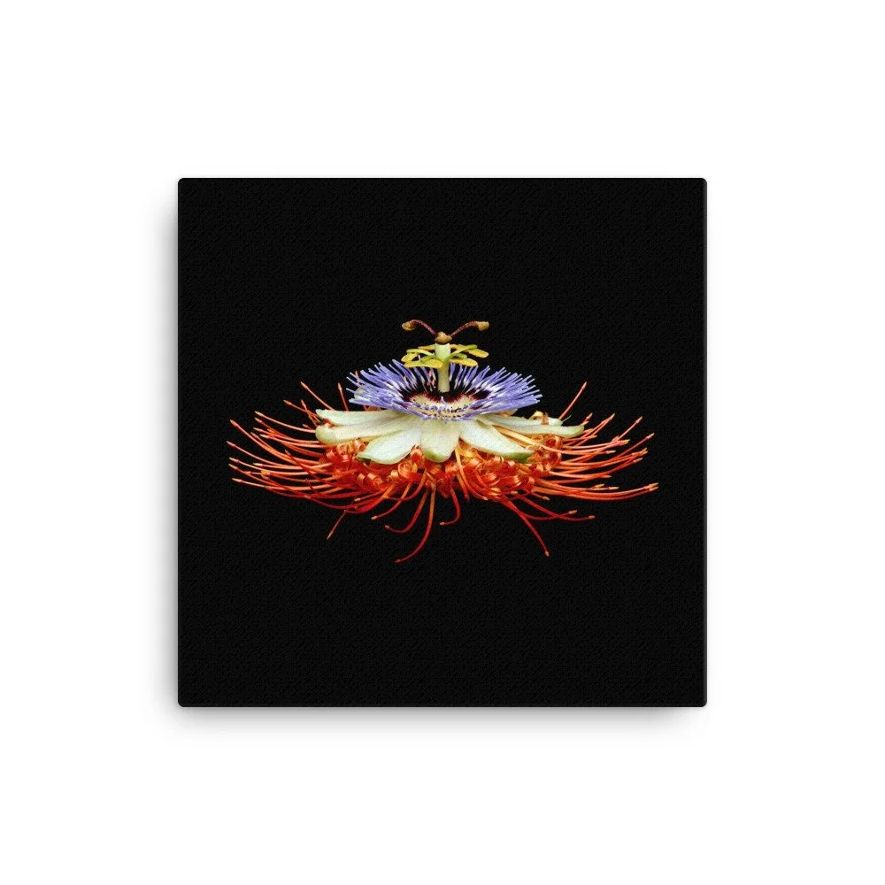 https://i.etsystatic.com/16519884/r/il/22ff42/2184651367/il_fullxfull.2184651367_7tje.jpg