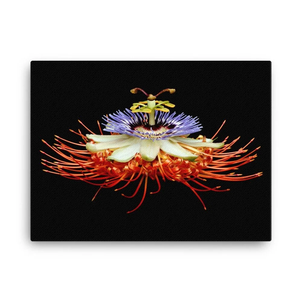 https://i.etsystatic.com/16519884/r/il/786a2a/2137099492/il_fullxfull.2137099492_l8nq.jpg