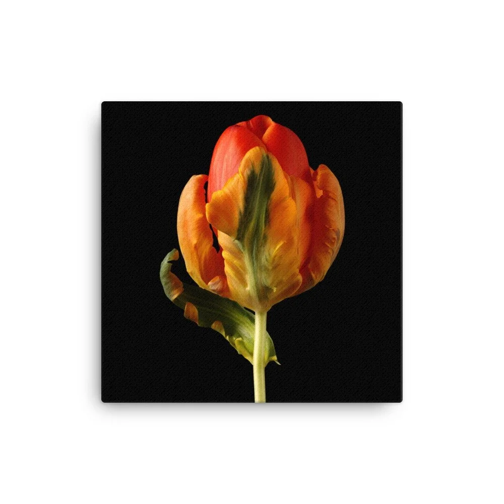 https://i.etsystatic.com/16519884/r/il/6fa5eb/2185003549/il_fullxfull.2185003549_o2sy.jpg