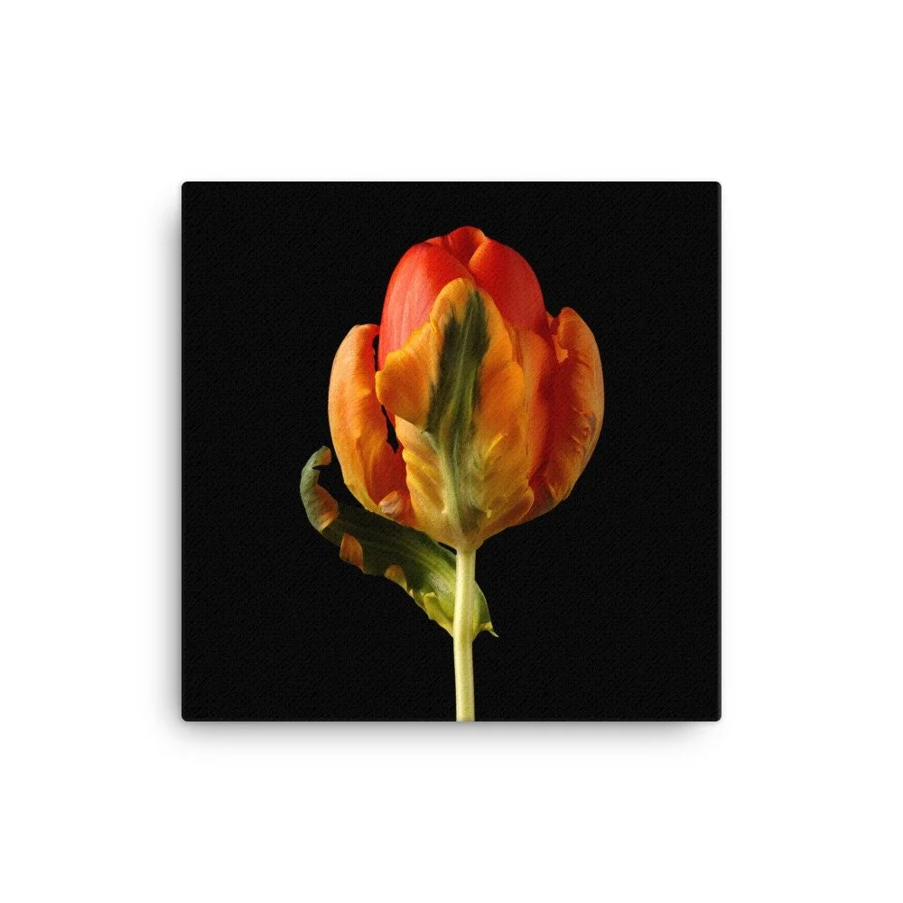 https://i.etsystatic.com/16519884/r/il/8d686c/2137451898/il_fullxfull.2137451898_51ow.jpg
