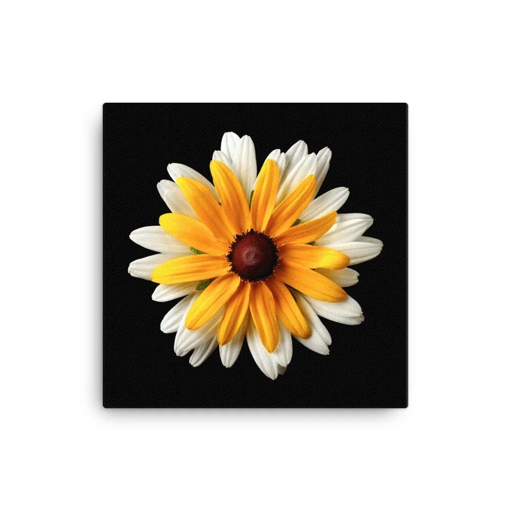 https://i.etsystatic.com/16519884/r/il/e27b15/2185299753/il_fullxfull.2185299753_k3lf.jpg