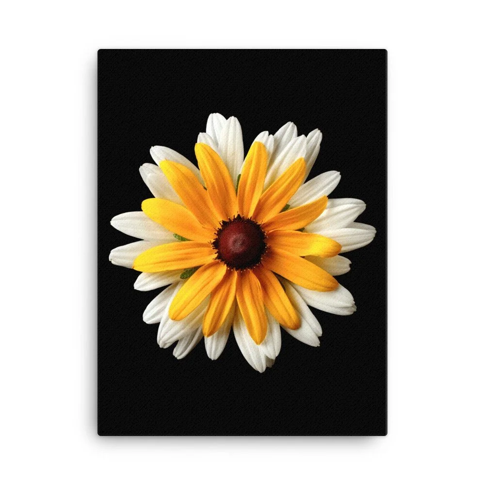 https://i.etsystatic.com/16519884/r/il/90bdcf/2185299741/il_fullxfull.2185299741_2xz5.jpg
