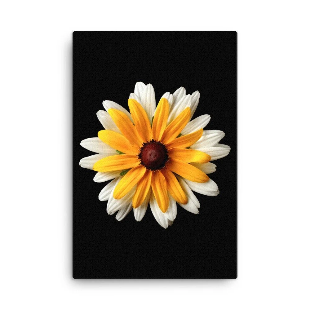 https://i.etsystatic.com/16519884/r/il/8ec802/2185299709/il_fullxfull.2185299709_o7ab.jpg