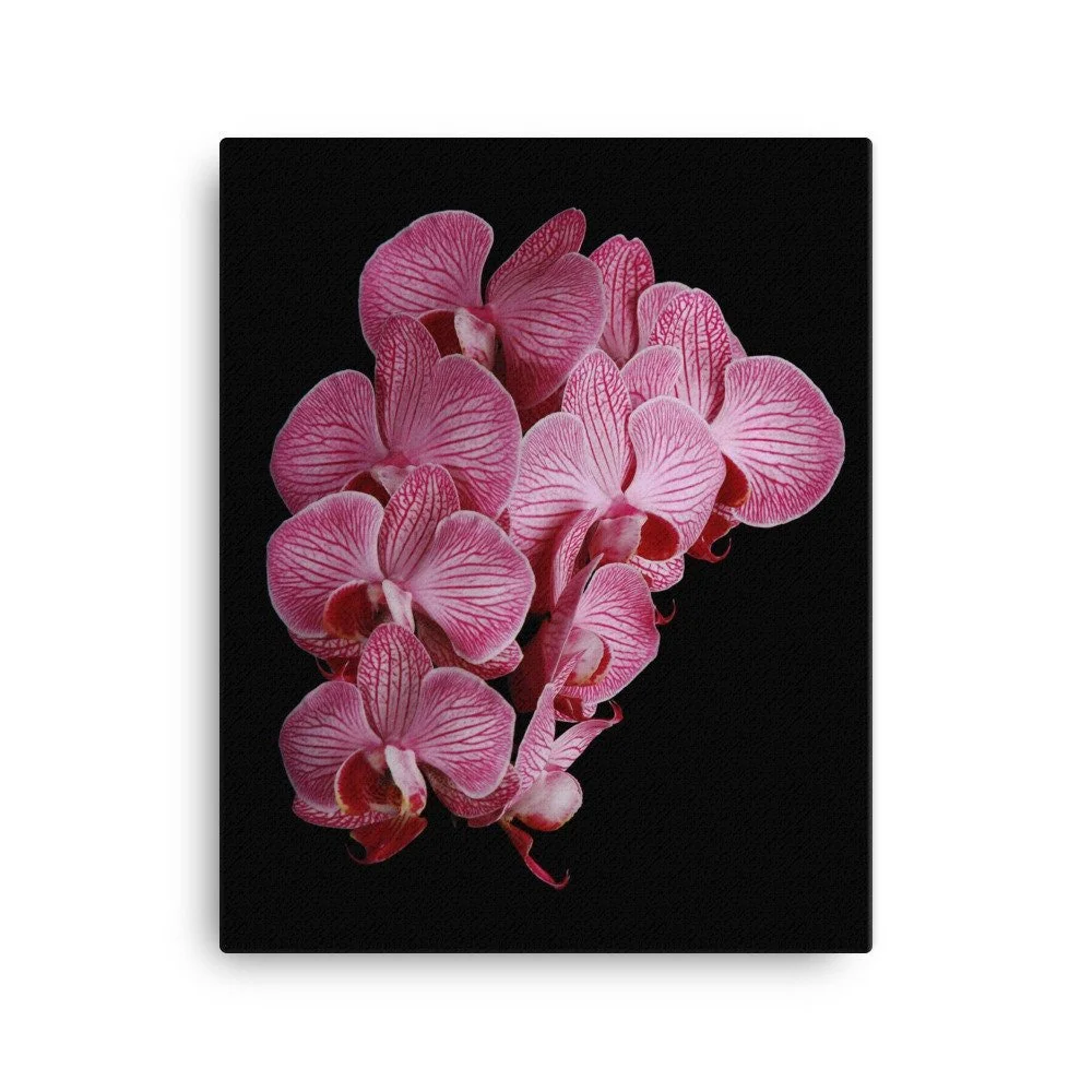 https://i.etsystatic.com/16519884/r/il/ee97d4/2139133110/il_fullxfull.2139133110_q5qe.jpg