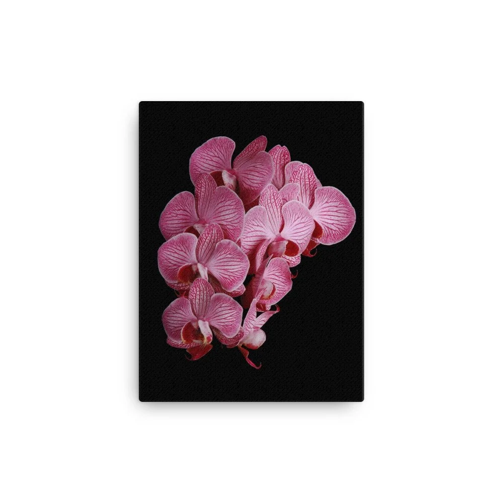 https://i.etsystatic.com/16519884/r/il/d4b6c0/2186682707/il_fullxfull.2186682707_6uhz.jpg