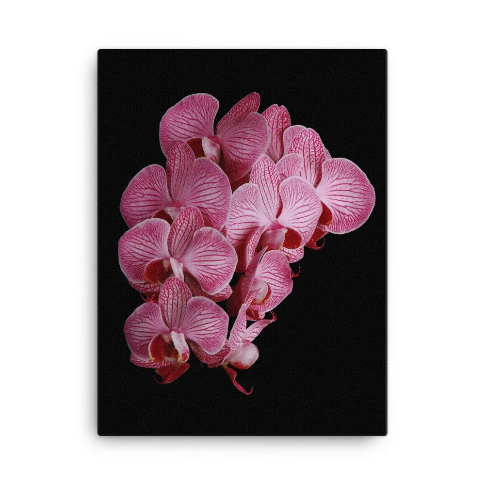https://i.etsystatic.com/16519884/r/il/5f7eba/2139132984/il_fullxfull.2139132984_c0h7.jpg