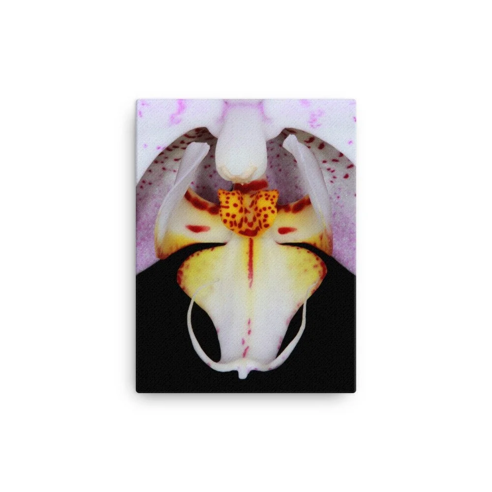 https://i.etsystatic.com/16519884/r/il/9364e0/2188303355/il_fullxfull.2188303355_d5qb.jpg