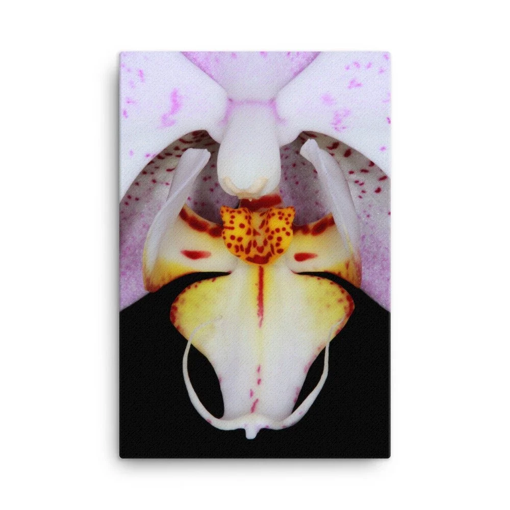 https://i.etsystatic.com/16519884/r/il/38132b/2140751708/il_fullxfull.2140751708_rlx4.jpg