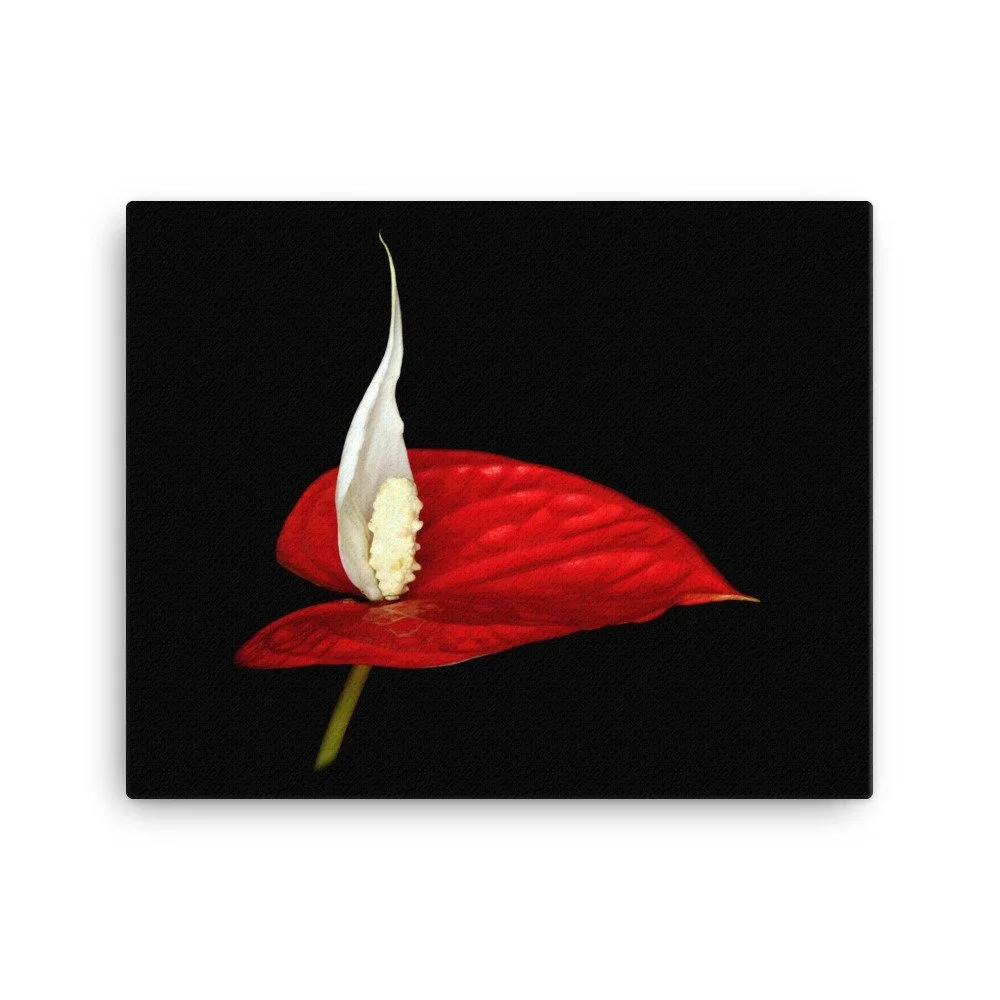 https://i.etsystatic.com/16519884/r/il/eb7a01/2184923509/il_fullxfull.2184923509_hbw3.jpg