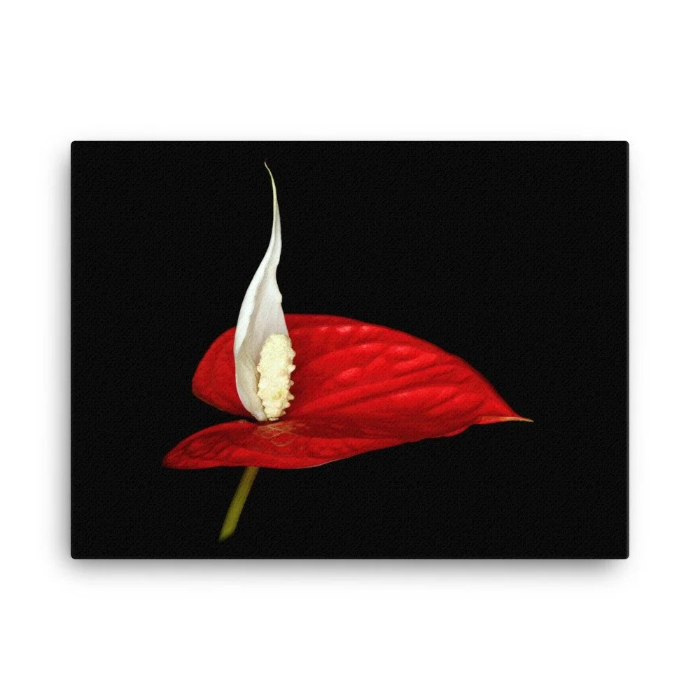 https://i.etsystatic.com/16519884/r/il/de46a7/2184922753/il_fullxfull.2184922753_7w1f.jpg