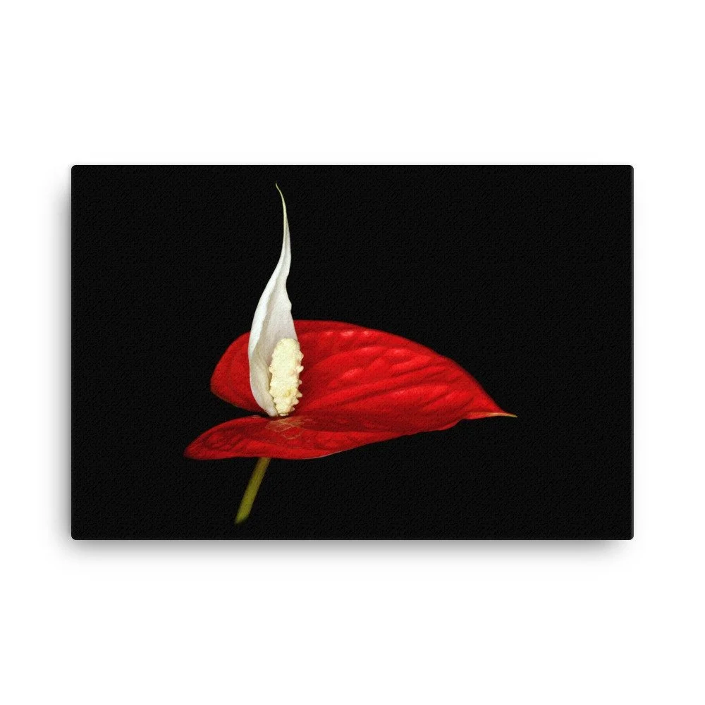 https://i.etsystatic.com/16519884/r/il/f6688b/2184922713/il_fullxfull.2184922713_ctun.jpg