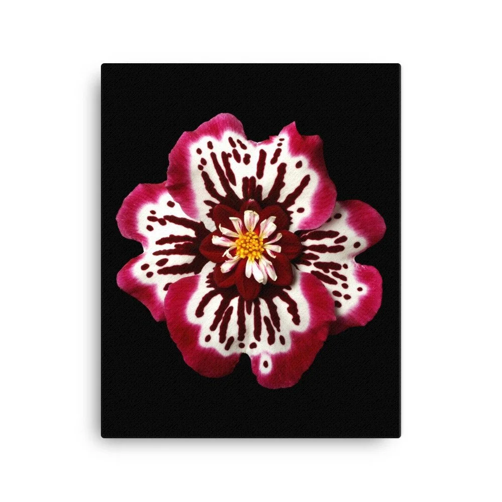 https://i.etsystatic.com/16519884/r/il/24f15a/2137063590/il_fullxfull.2137063590_6a7f.jpg