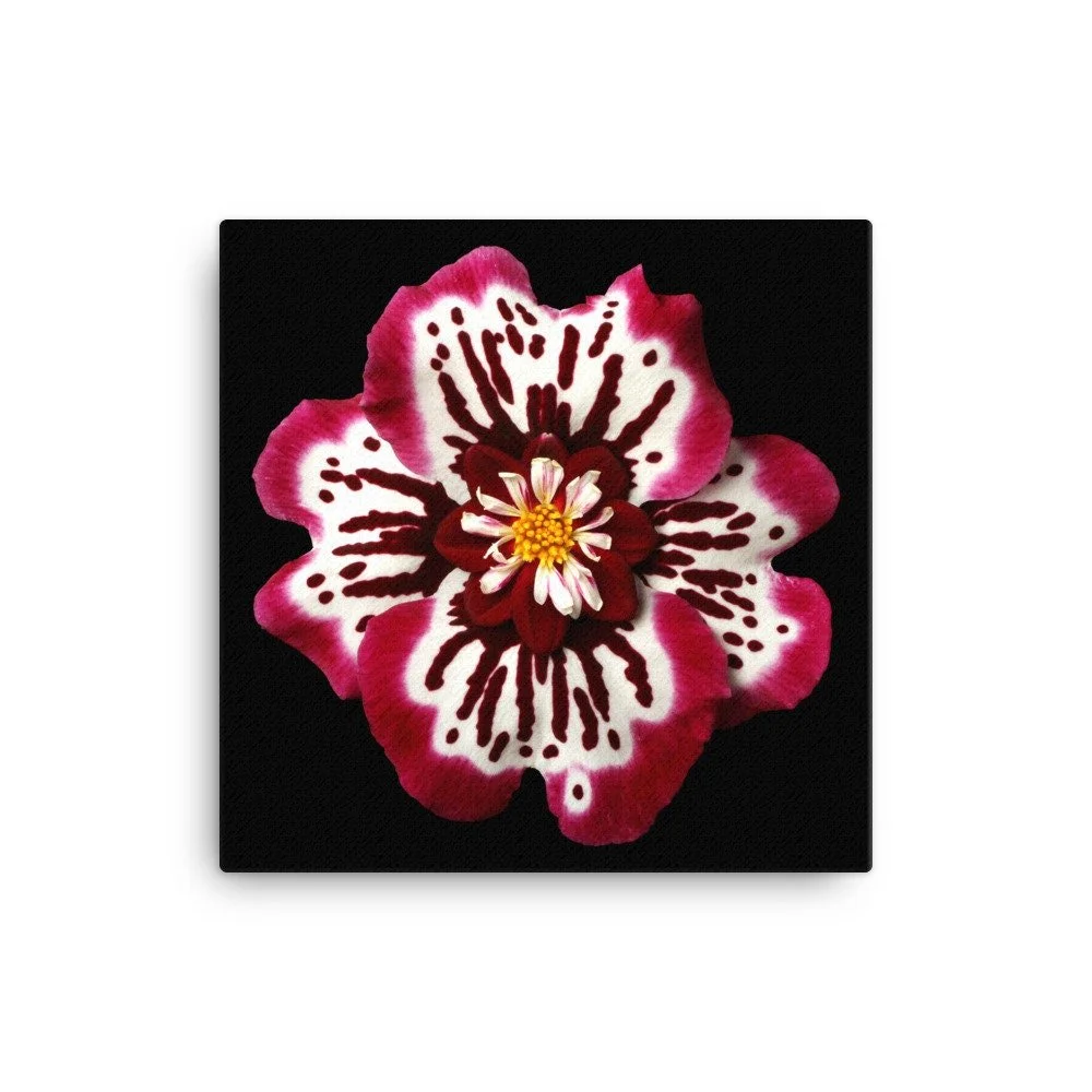 https://i.etsystatic.com/16519884/r/il/914e45/2137063554/il_fullxfull.2137063554_3rek.jpg