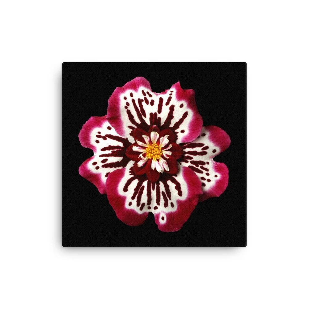 https://i.etsystatic.com/16519884/r/il/e94b82/2184615745/il_fullxfull.2184615745_8y7m.jpg