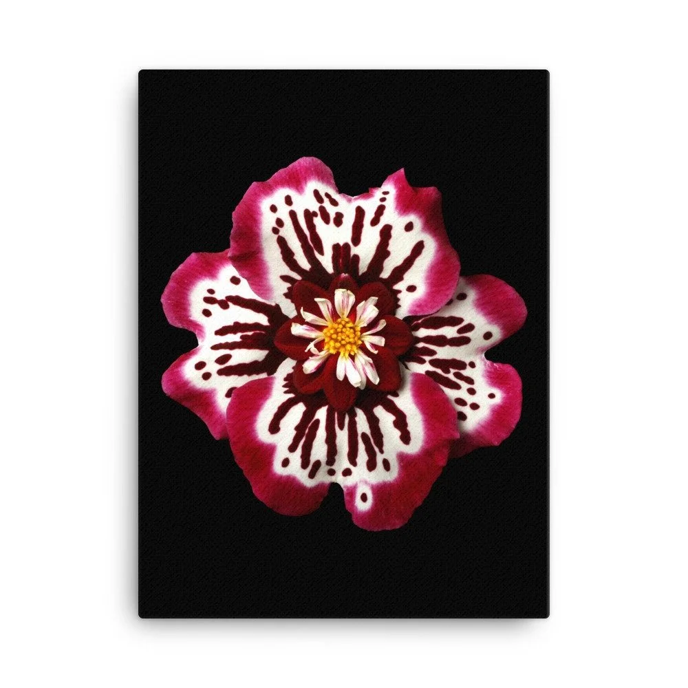https://i.etsystatic.com/16519884/r/il/ebcba0/2184615701/il_fullxfull.2184615701_i8u1.jpg