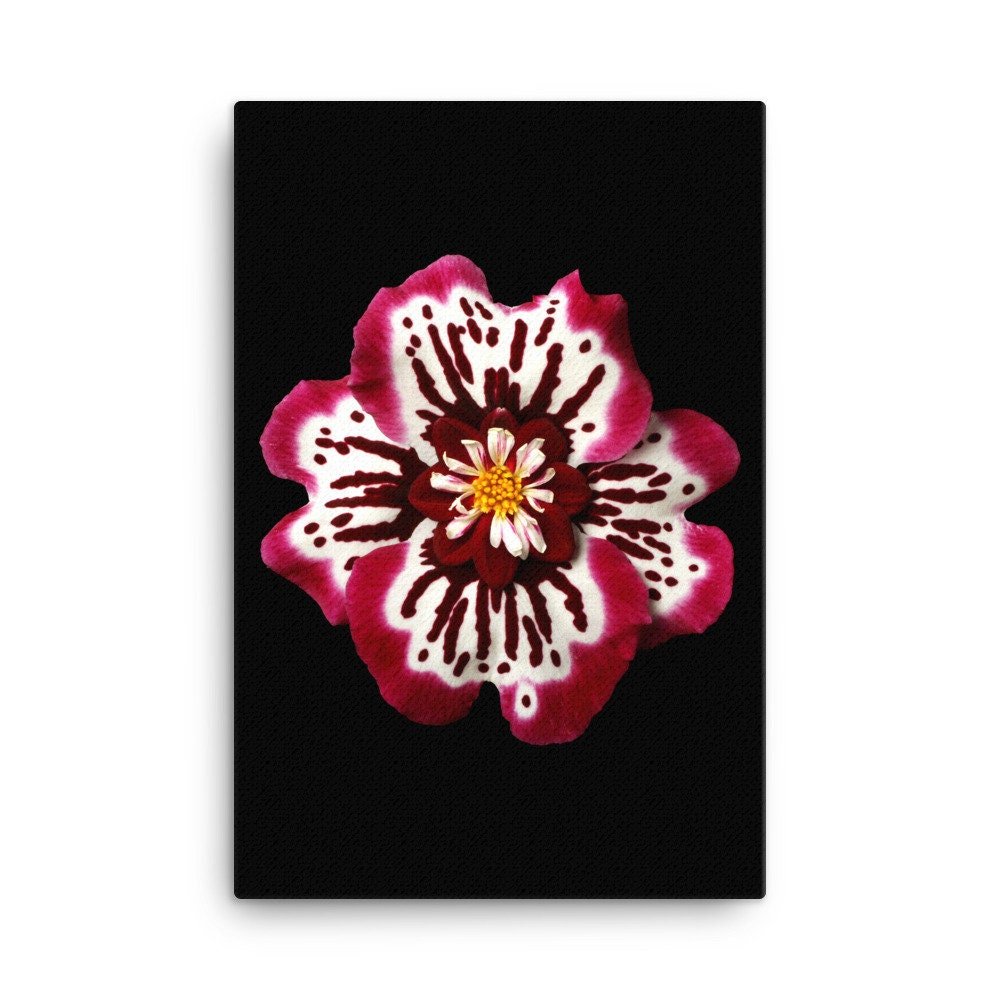 https://i.etsystatic.com/16519884/r/il/1d2c9b/2137063408/il_fullxfull.2137063408_rjhp.jpg