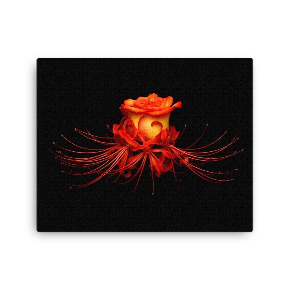 https://i.etsystatic.com/16519884/r/il/c2cd86/2184744605/il_fullxfull.2184744605_nwhx.jpg