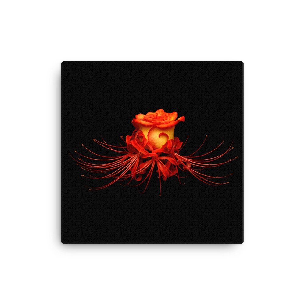 https://i.etsystatic.com/16519884/r/il/2a109b/2137192718/il_fullxfull.2137192718_dct6.jpg