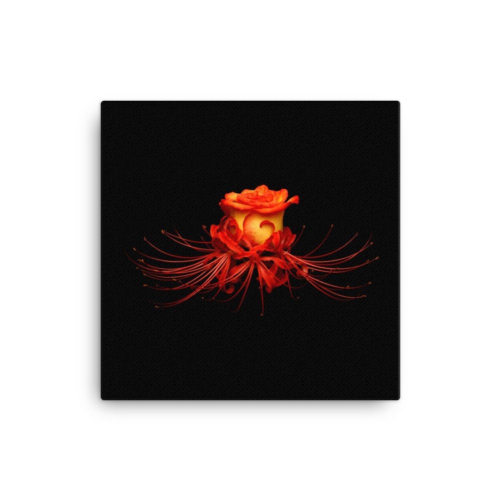 https://i.etsystatic.com/16519884/r/il/69f73d/2184744019/il_fullxfull.2184744019_b824.jpg