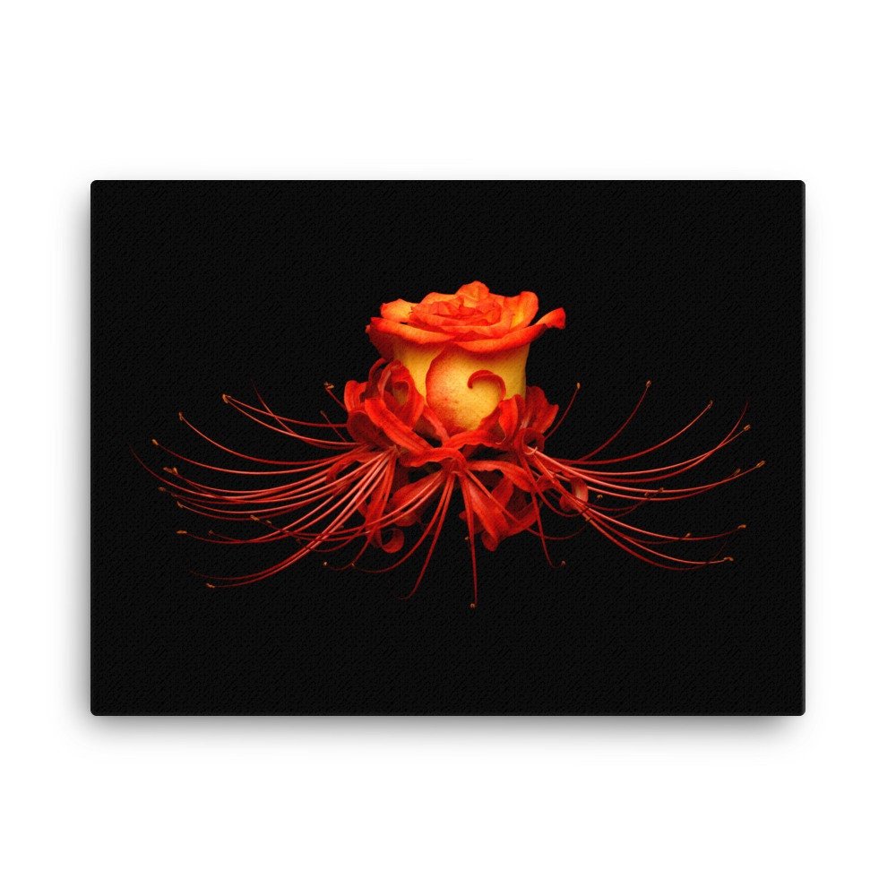 https://i.etsystatic.com/16519884/r/il/3bb5d8/2184743965/il_fullxfull.2184743965_9d1c.jpg