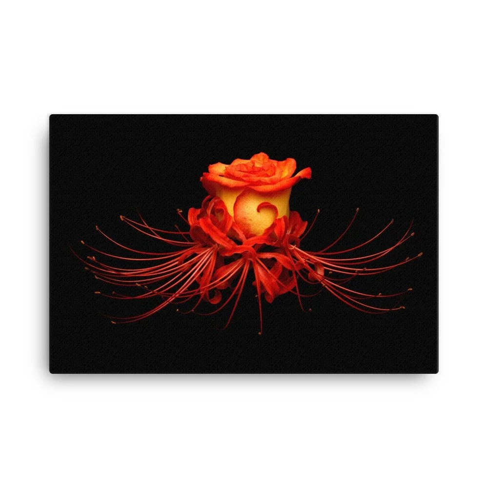 https://i.etsystatic.com/16519884/r/il/2e6a55/2137192548/il_fullxfull.2137192548_o9bk.jpg