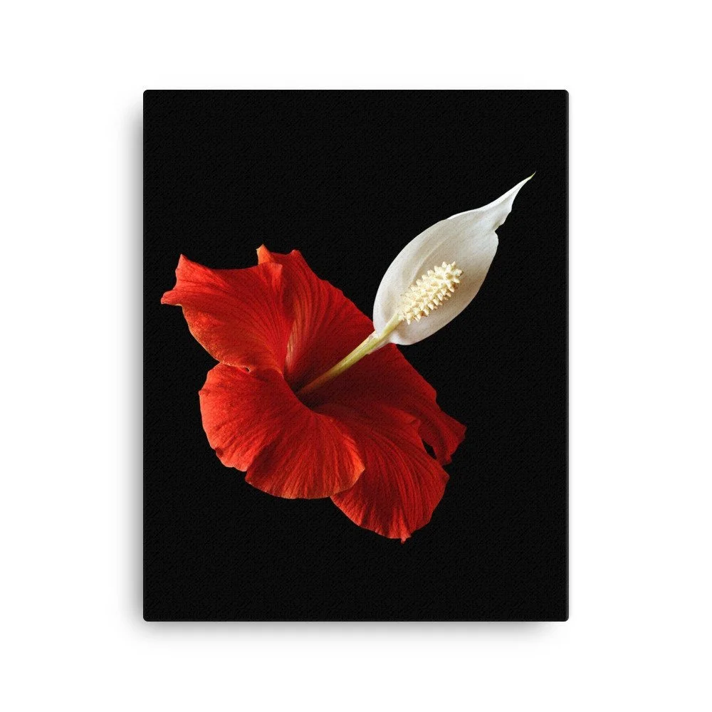 https://i.etsystatic.com/16519884/r/il/6a668e/2137566998/il_fullxfull.2137566998_jna7.jpg