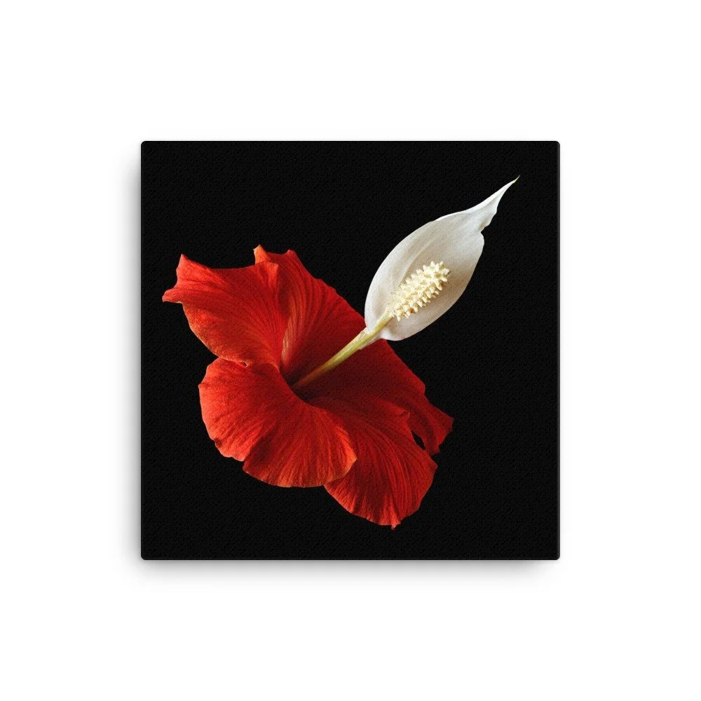 https://i.etsystatic.com/16519884/r/il/6f6390/2185118067/il_fullxfull.2185118067_5upz.jpg