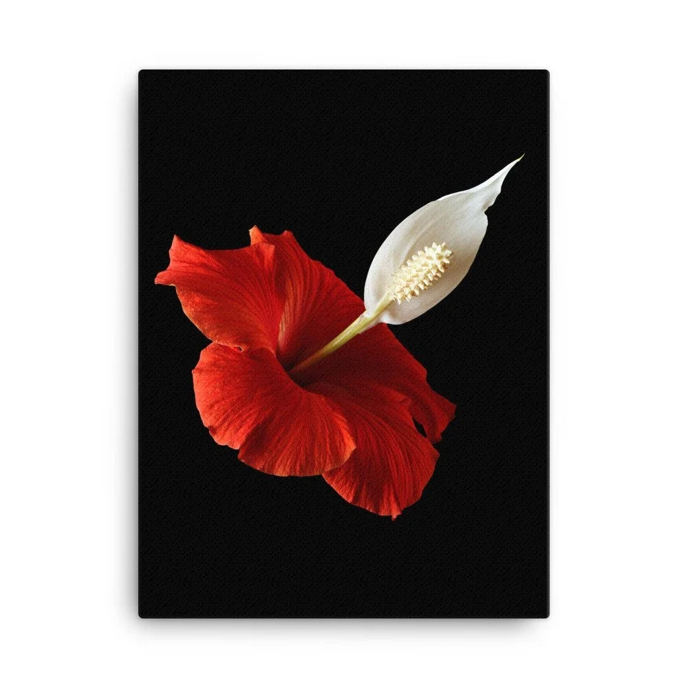 https://i.etsystatic.com/16519884/r/il/876386/2185118025/il_fullxfull.2185118025_tojg.jpg