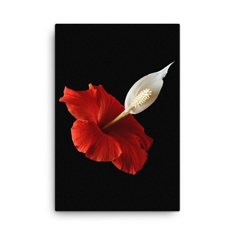 https://i.etsystatic.com/16519884/r/il/a44fd8/2185117993/il_fullxfull.2185117993_9gc9.jpg
