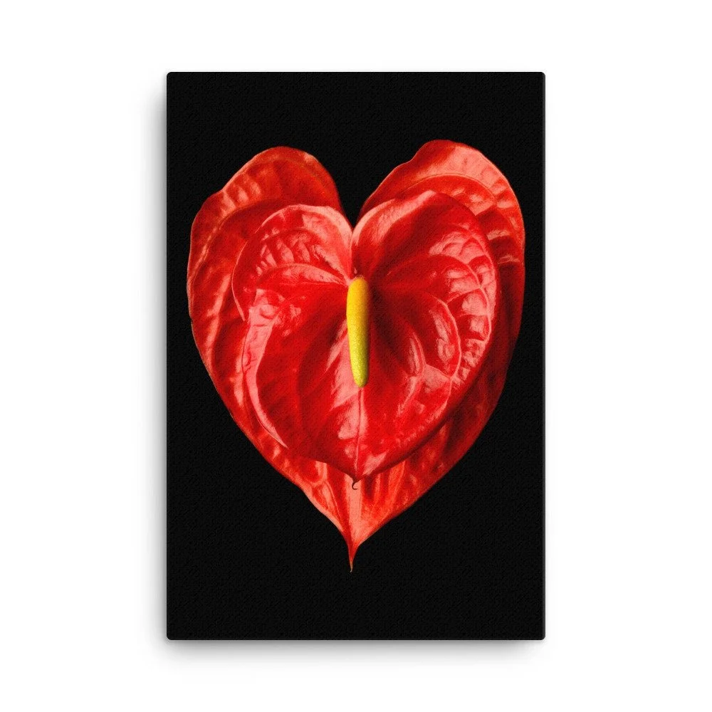 https://i.etsystatic.com/16519884/r/il/154599/2185132311/il_fullxfull.2185132311_ckl0.jpg