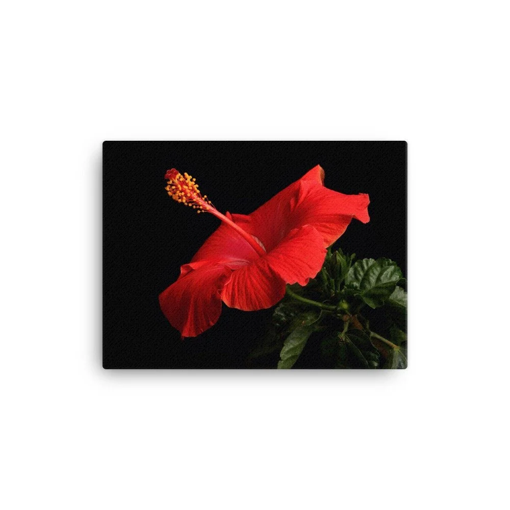https://i.etsystatic.com/16519884/r/il/4b2d93/2186654461/il_fullxfull.2186654461_pzn7.jpg