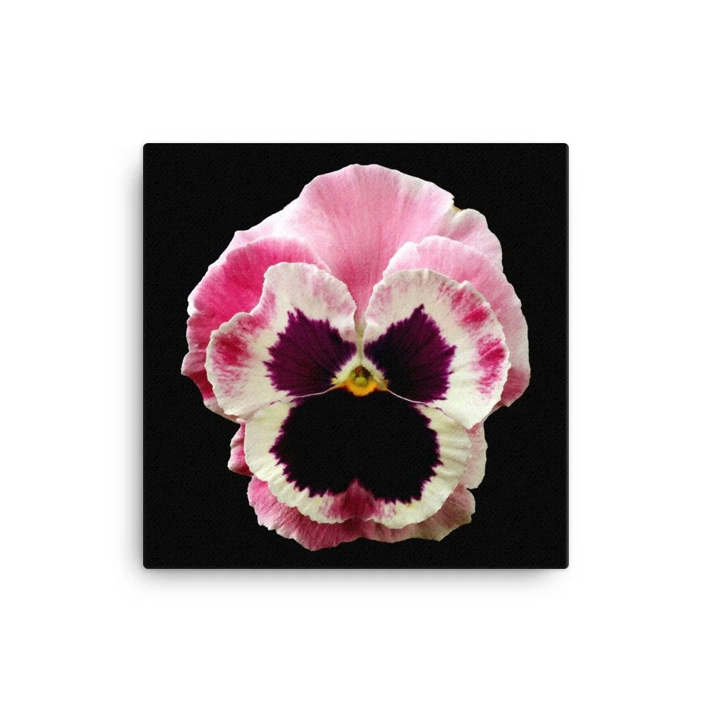https://i.etsystatic.com/16519884/r/il/81730e/2184585833/il_fullxfull.2184585833_g4s6.jpg